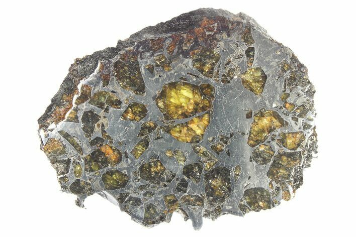 Brahin Pallasite Meteorite ( g) Slice - Belarus #269640